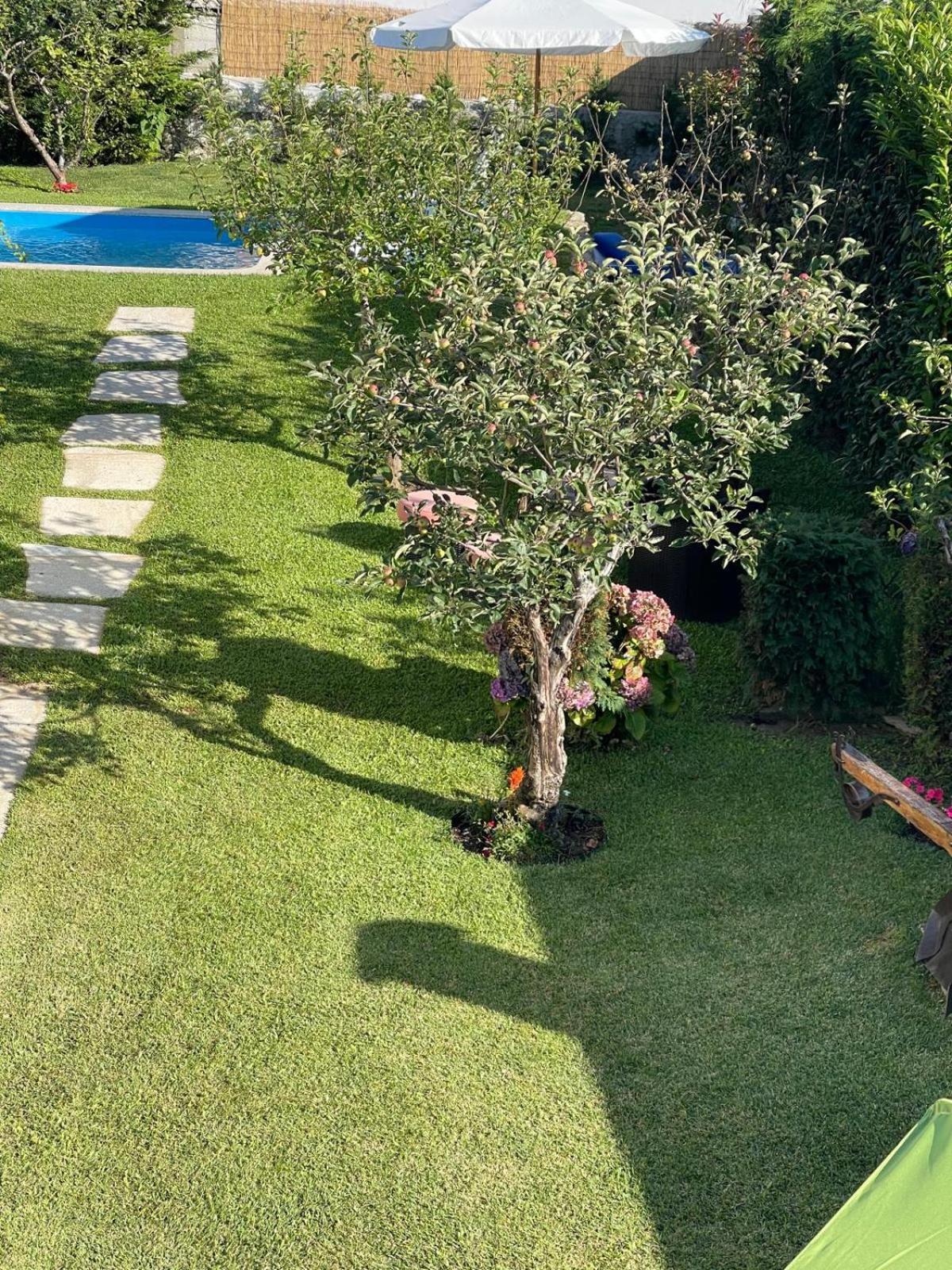 Вилла Casa Do Albano Виана-ду-Каштелу Экстерьер фото